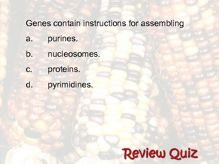 Genes contain instructions for assembling a. purines. b. nucleosomes. c. proteins. d. pyrimidines. 