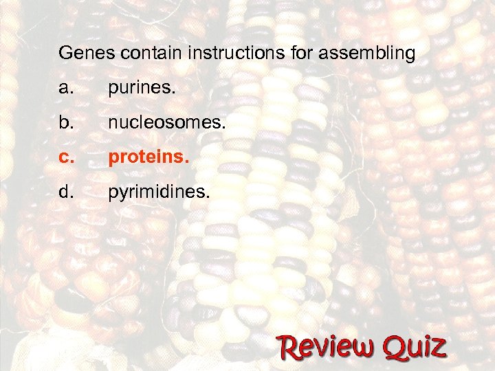 Genes contain instructions for assembling a. purines. b. nucleosomes. c. proteins. d. pyrimidines. 