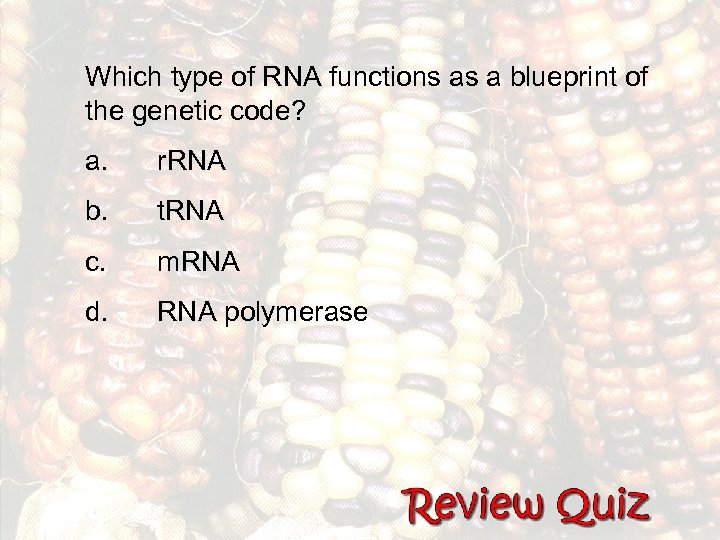 Which type of RNA functions as a blueprint of the genetic code? a. r.