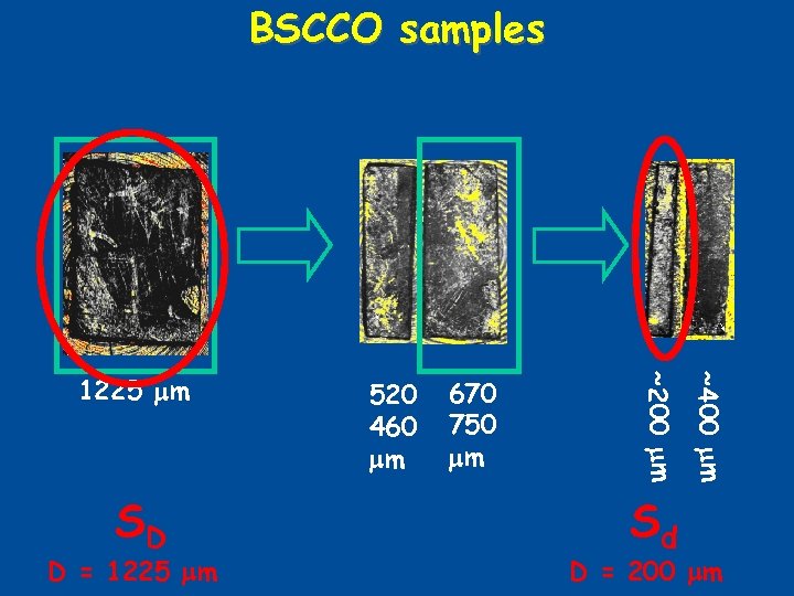 BSCCO samples D = 1225 mm 670 750 mm Sd ~400 mm SD 520