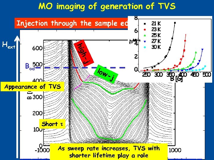 MO imaging of generation of TVS Injection through the sample edges j h- hig
