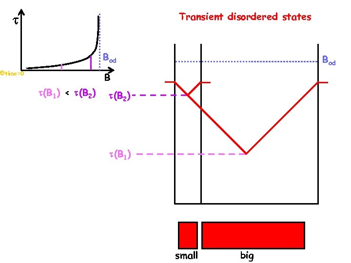 Transient disordered states Bod B time=0 (B 1) < (B 2) (B 1) small