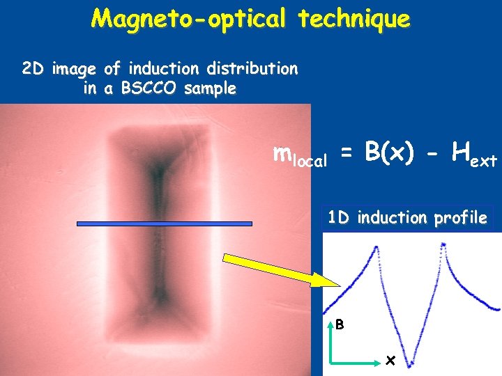 Magneto-optical technique 2 D image of induction distribution in a BSCCO sample mlocal =