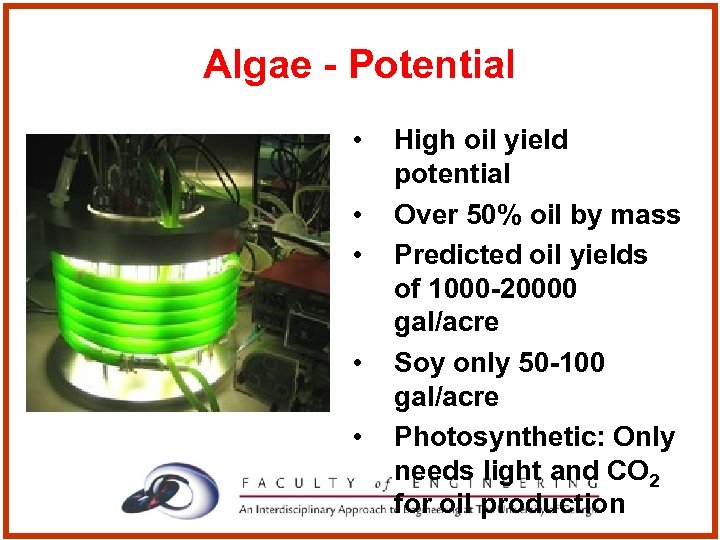 Algae - Potential • • • High oil yield potential Over 50% oil by