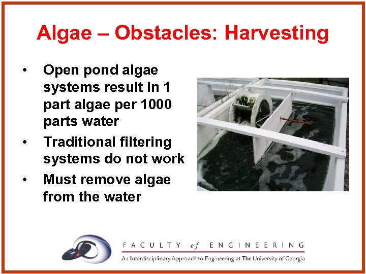 Algae – Obstacles: Harvesting • • • Open pond algae systems result in 1