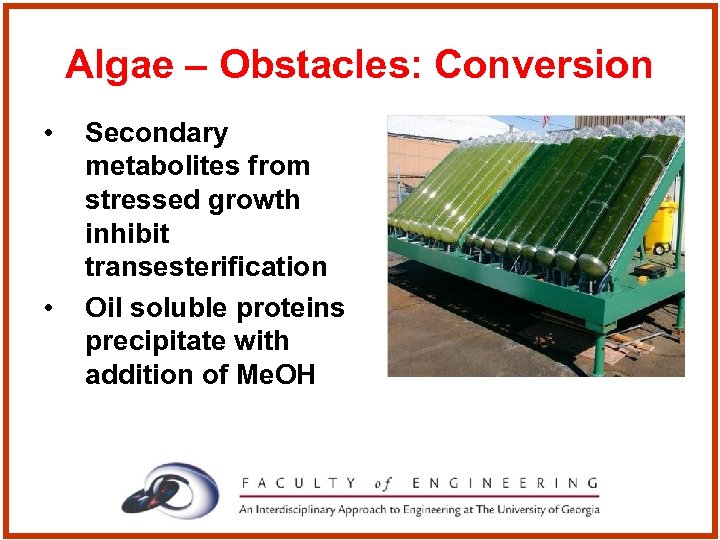 Algae – Obstacles: Conversion • • Secondary metabolites from stressed growth inhibit transesterification Oil