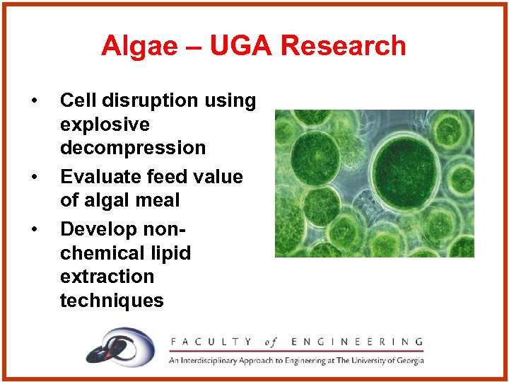Algae – UGA Research • • • Cell disruption using explosive decompression Evaluate feed