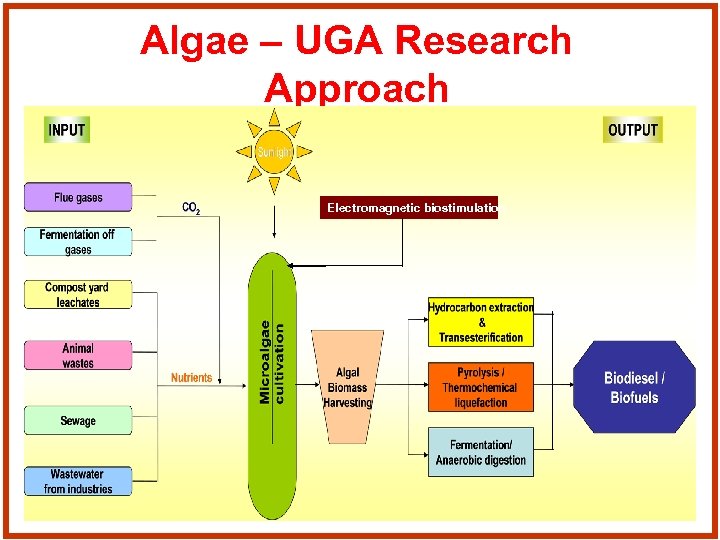 Algae – UGA Research Approach Electromagnetic biostimulation 