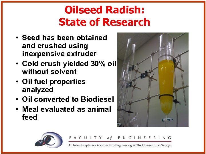 Oilseed Radish: State of Research • Seed has been obtained and crushed using inexpensive