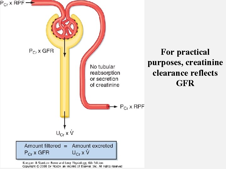 For practical purposes, creatinine clearance reflects GFR 