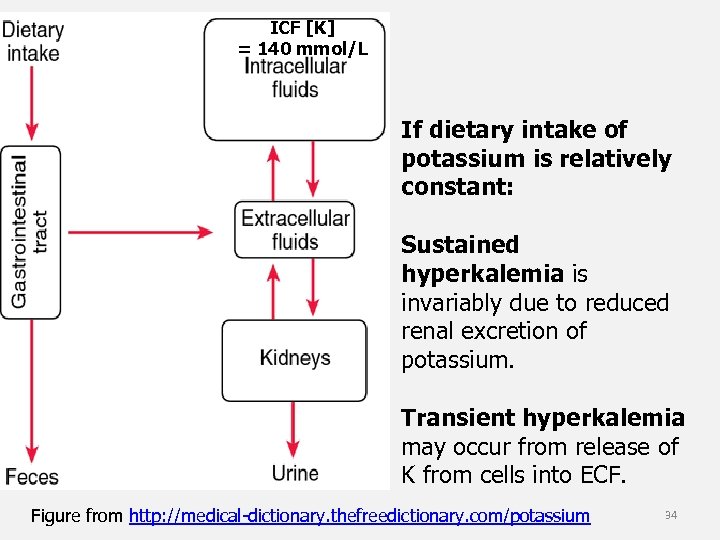 ICF [K] = 140 mmol/L If dietary intake of potassium is relatively constant: Sustained