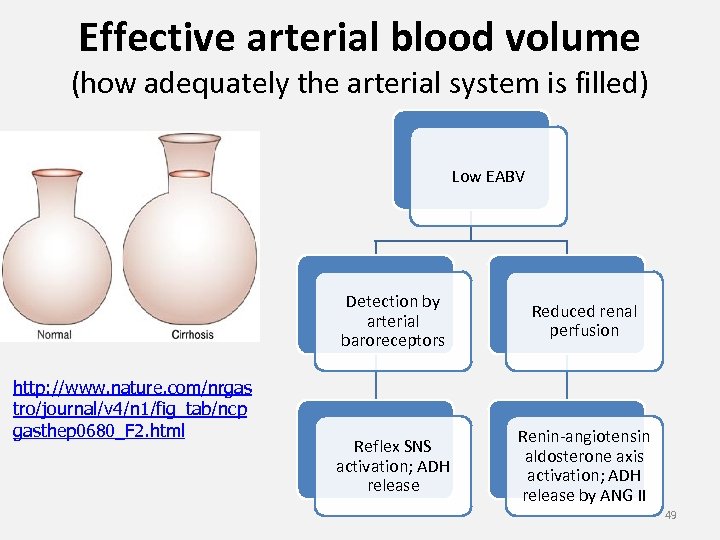 Effective arterial blood volume (how adequately the arterial system is filled) Low EABV Detection