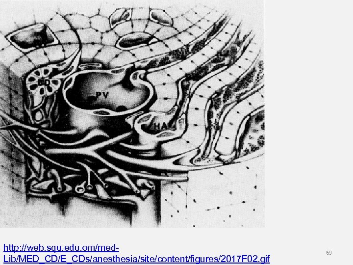 http: //web. squ. edu. om/med. Lib/MED_CD/E_CDs/anesthesia/site/content/figures/2017 F 02. gif 69 