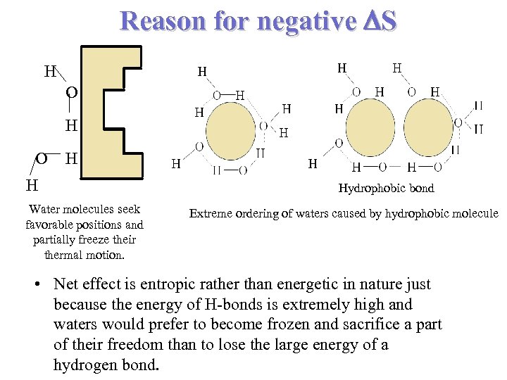 Reason for negative S H O H H Water molecules seek favorable positions and