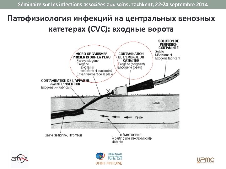 Séminaire sur les infections associées aux soins, Tachkent, 22 -24 septembre 2014 Патофизиология инфекций