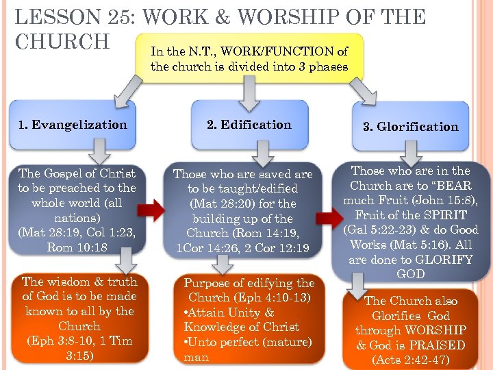 LESSON 25: WORK & WORSHIP OF THE CHURCH In the N. T. , WORK/FUNCTION