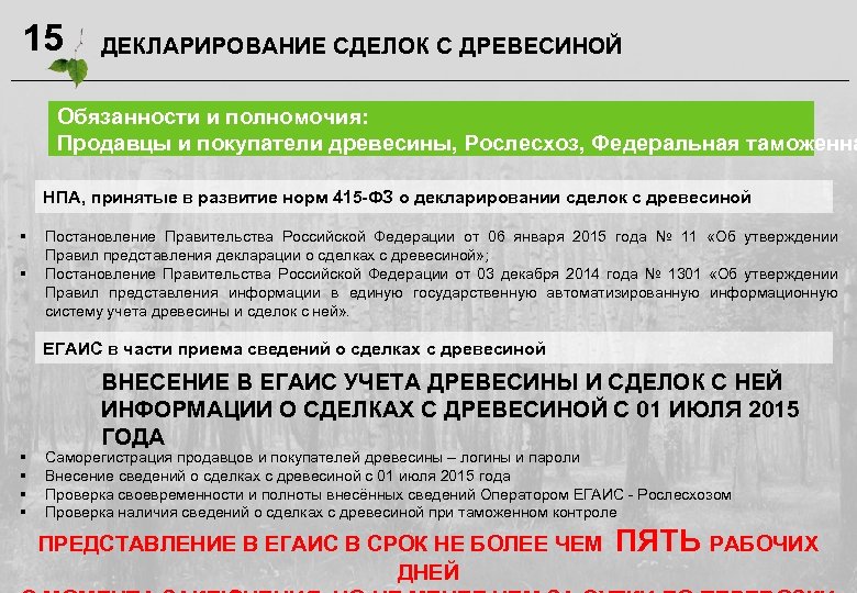 Письмо в егаис лес о саморегистрации образец