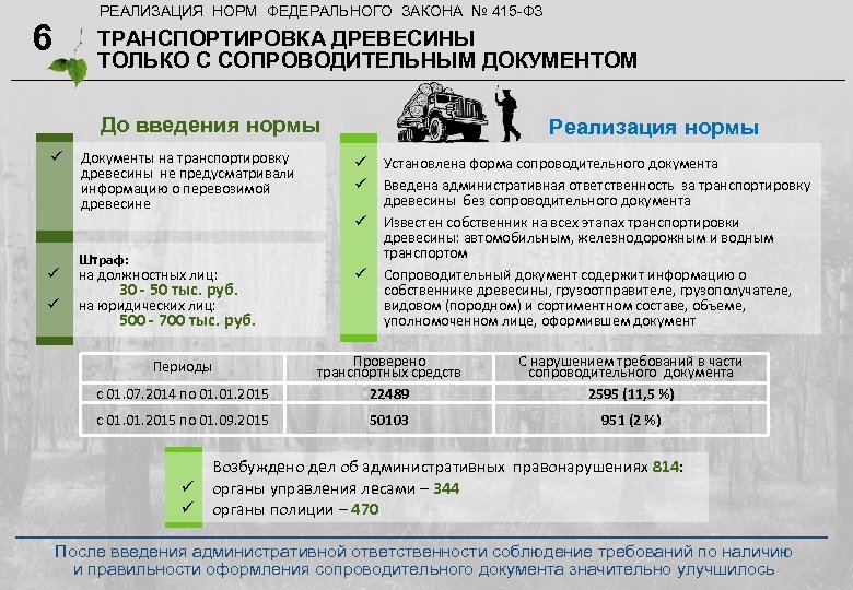 РЕАЛИЗАЦИЯ НОРМ ФЕДЕРАЛЬНОГО ЗАКОНА № 415 -ФЗ 6 ТРАНСПОРТИРОВКА ДРЕВЕСИНЫ ТОЛЬКО С СОПРОВОДИТЕЛЬНЫМ ДОКУМЕНТОМ