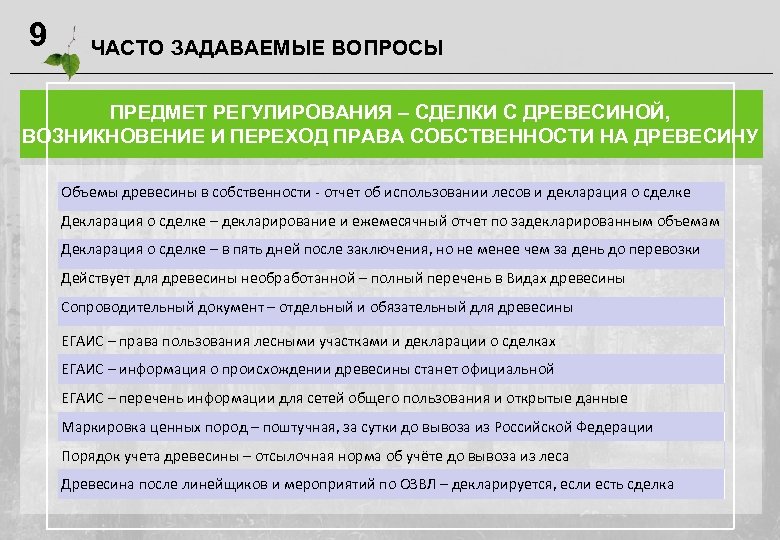 Егаис лес сделка с древесиной