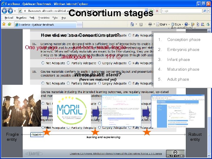 Consortium stages - An analogy - How did we as a Consortium start? ………analogous