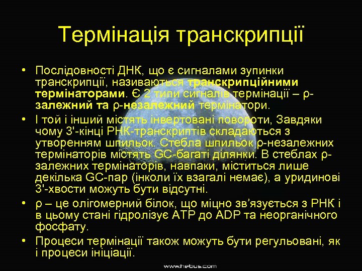 Термінація транскрипції • Послідовності ДНК, що є сигналами зупинки транскрипції, називаються транскрипційними термінаторами. Є