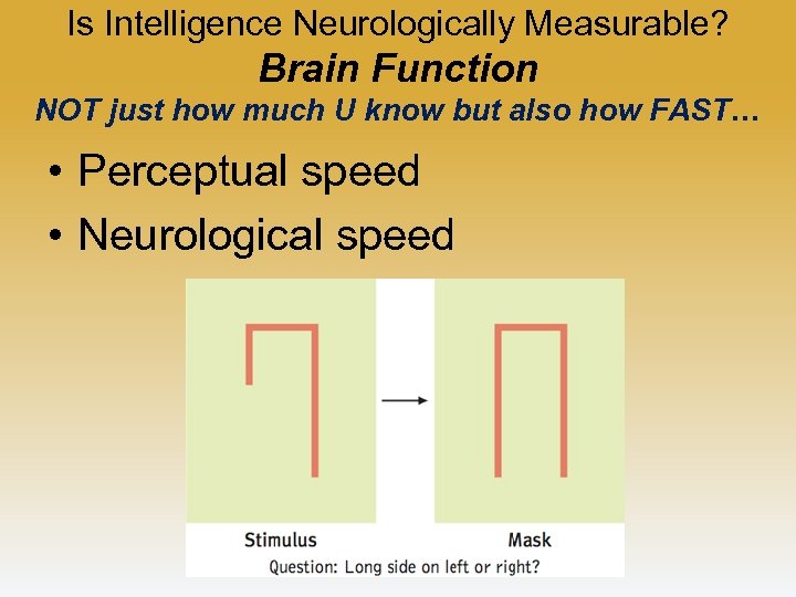 Is Intelligence Neurologically Measurable? Brain Function NOT just how much U know but also