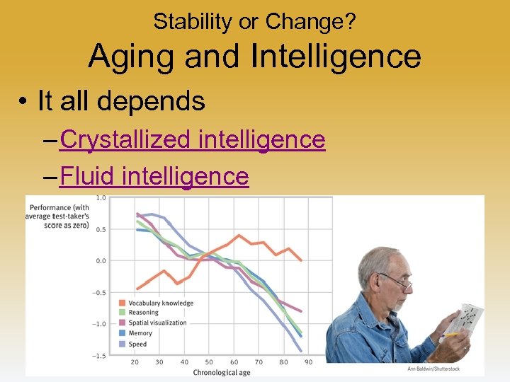 Stability or Change? Aging and Intelligence • It all depends – Crystallized intelligence –