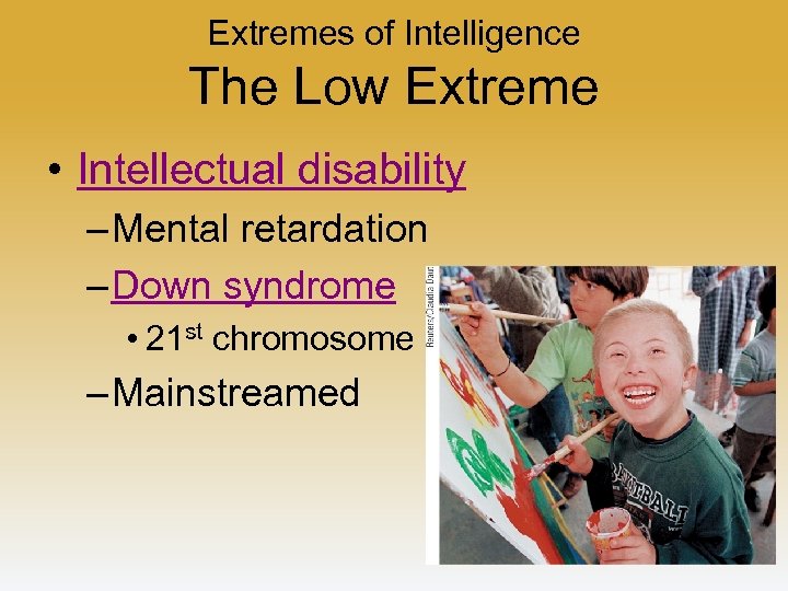 Extremes of Intelligence The Low Extreme • Intellectual disability – Mental retardation – Down