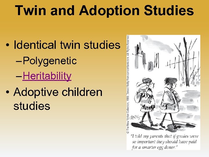 Twin and Adoption Studies • Identical twin studies – Polygenetic – Heritability • Adoptive