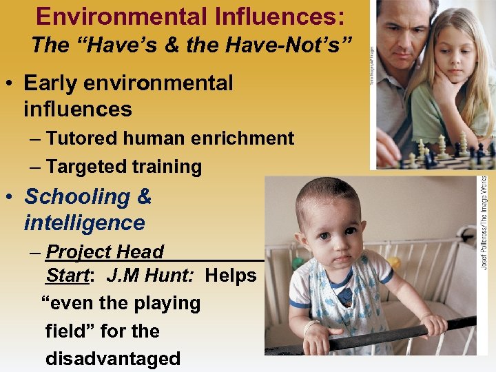 Environmental Influences: The “Have’s & the Have-Not’s” • Early environmental influences – Tutored human