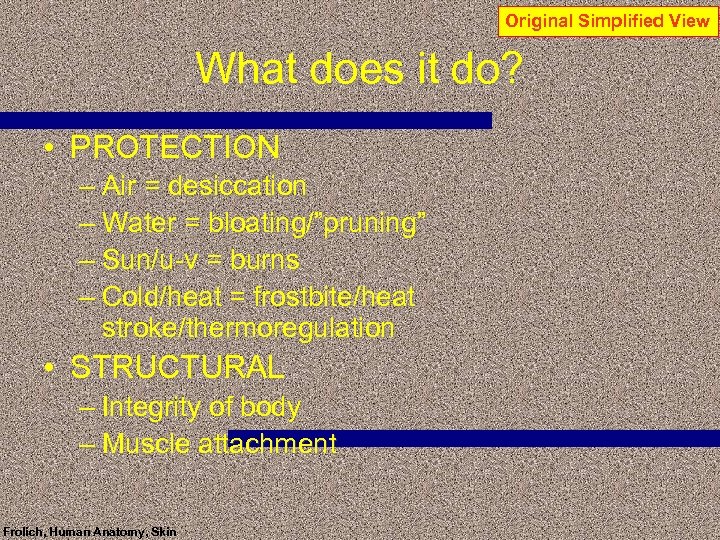 Original Simplified View What does it do? • PROTECTION – Air = desiccation –