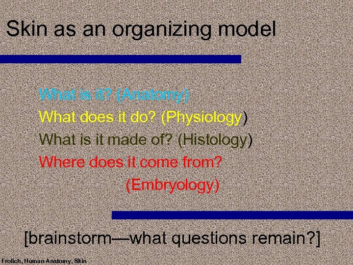 Skin as an organizing model What is it? (Anatomy) What does it do? (Physiology)