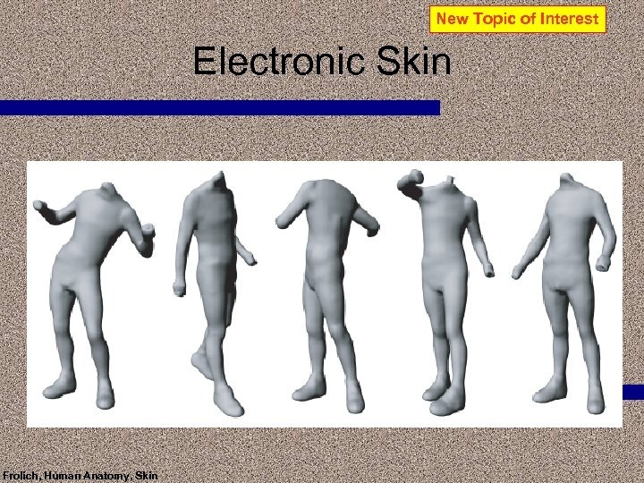 New Topic of Interest Electronic Skin Frolich, Human Anatomy, Skin 