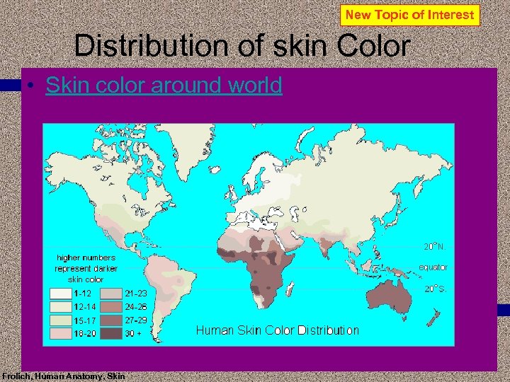 New Topic of Interest Distribution of skin Color • Skin color around world Frolich,