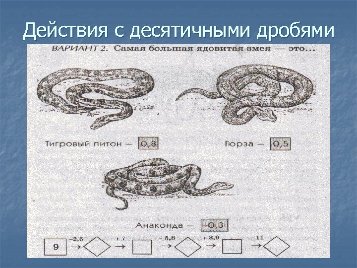 Действия с десятичными дробями 