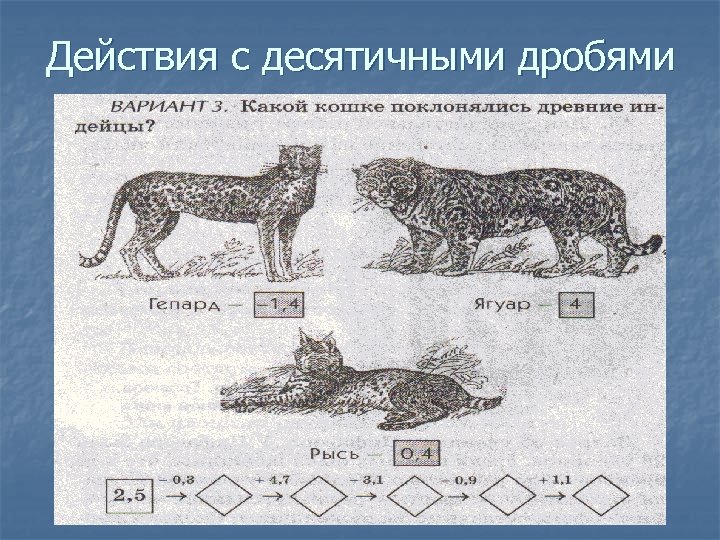 Действия с десятичными дробями 