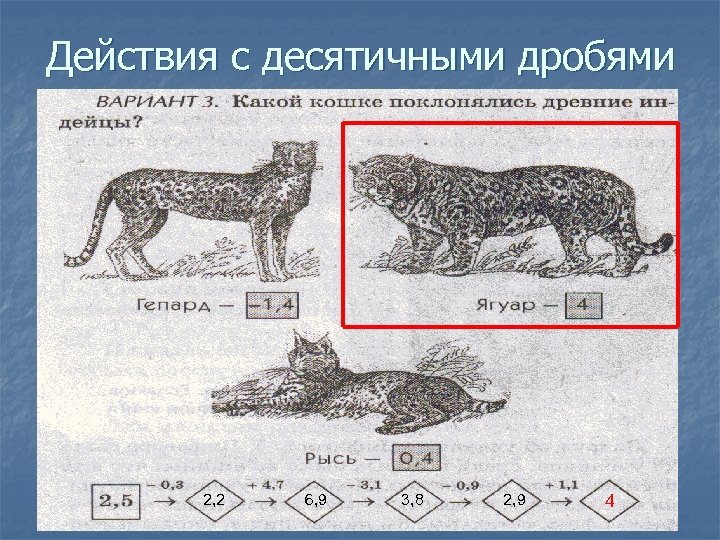 Действия с десятичными дробями 2, 2 6, 9 3, 8 2, 9 4 