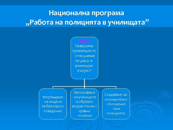 Национална програма „Работа на полицията в училищата” ЦЕЛИ: Генерална превенция по отношение на деца