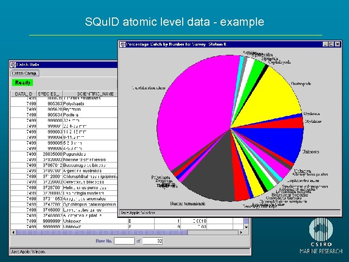 SQu. ID atomic level data - example 