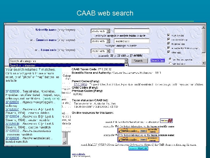 CAAB web search 