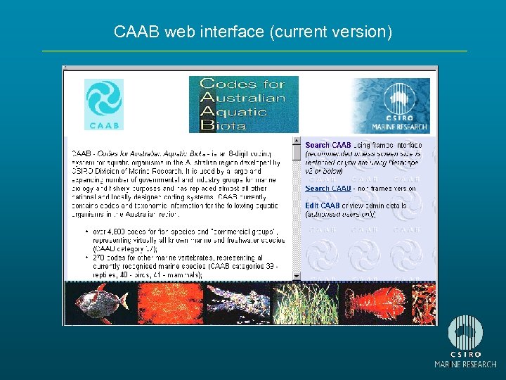 CAAB web interface (current version) 