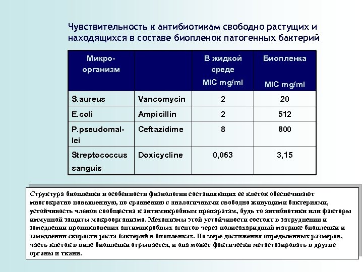 Чувствительность к антибиотикам свободно растущих и находящихся в составе биопленок патогенных бактерий Микроорганизм В