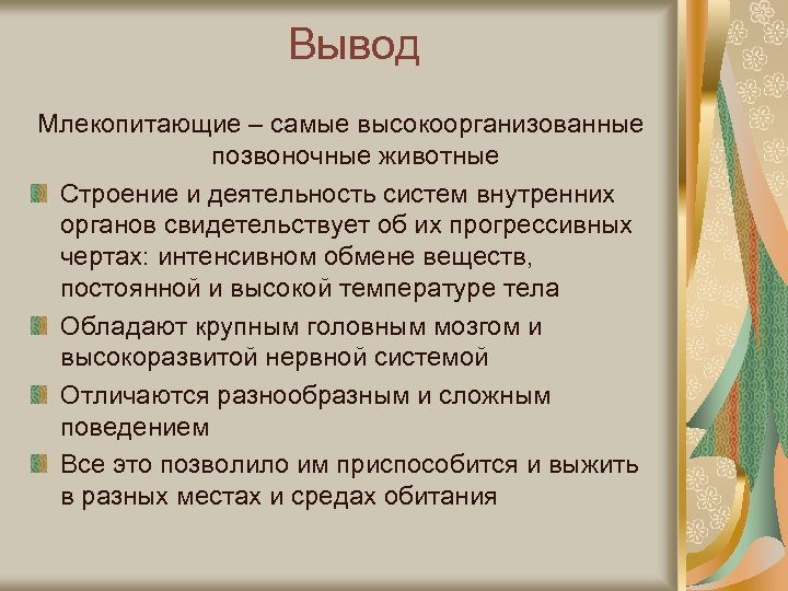 Сформулируйте вывод. Вывод о млекопитающих. Строение скелета млекопитающих вывод.