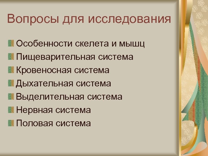 Вопросы для исследования Особенности скелета и мышц Пищеварительная система Кровеносная система Дыхательная система Выделительная
