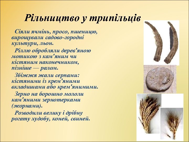 Рільництво у трипільців Сіяли ячмінь, просо, пшеницю, вирощували садово-городні культури, льон. Ріллю обробляли дерев'яною