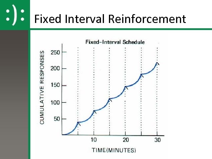 Fixed Interval Reinforcement 