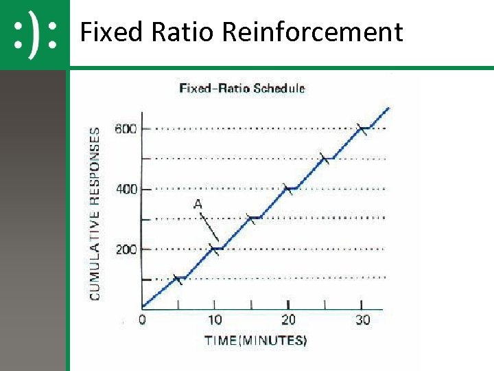 Fixed Ratio Reinforcement 