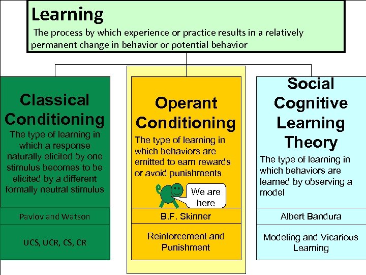 Learning The process by which experience or practice results in a relatively permanent change