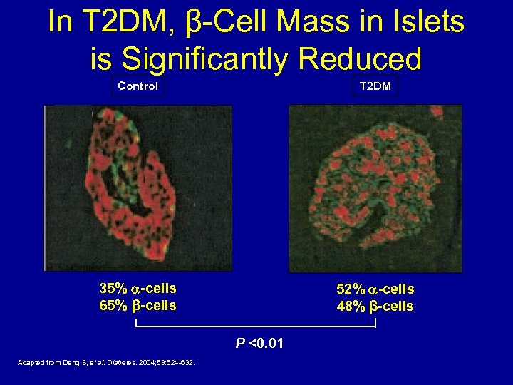 In T 2 DM, β-Cell Mass in Islets is Significantly Reduced Control T 2