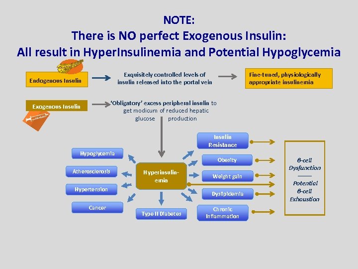 NOTE: There is NO perfect Exogenous Insulin: All result in Hyper. Insulinemia and Potential